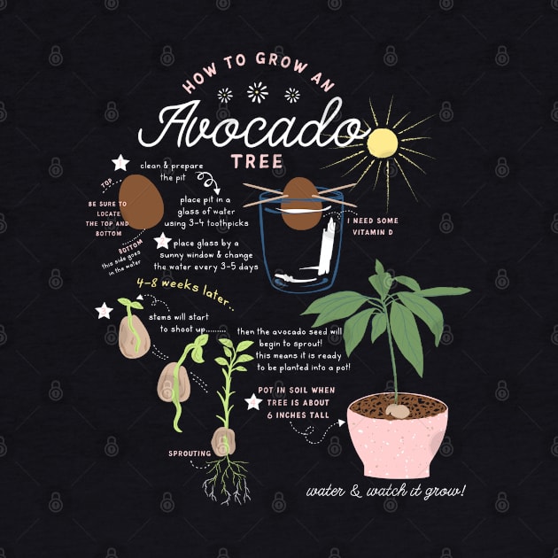 How to grow an avocado by LifeTime Design